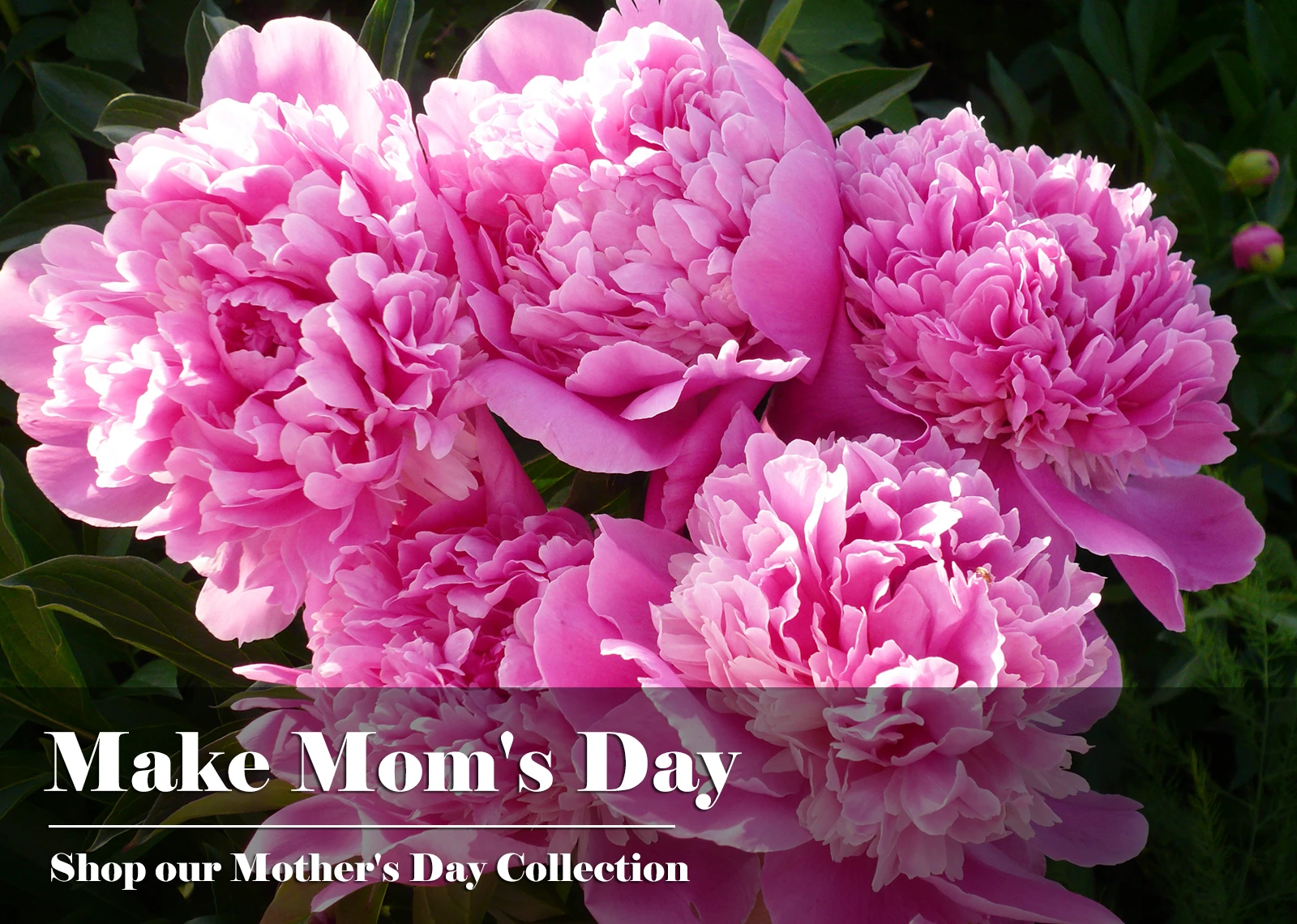 Mother's Day Flowers from In Full Bloom