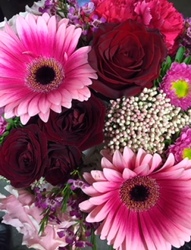 Valentine's Deal of the Day Arrangement from In Full Bloom in Farmingdale, NY