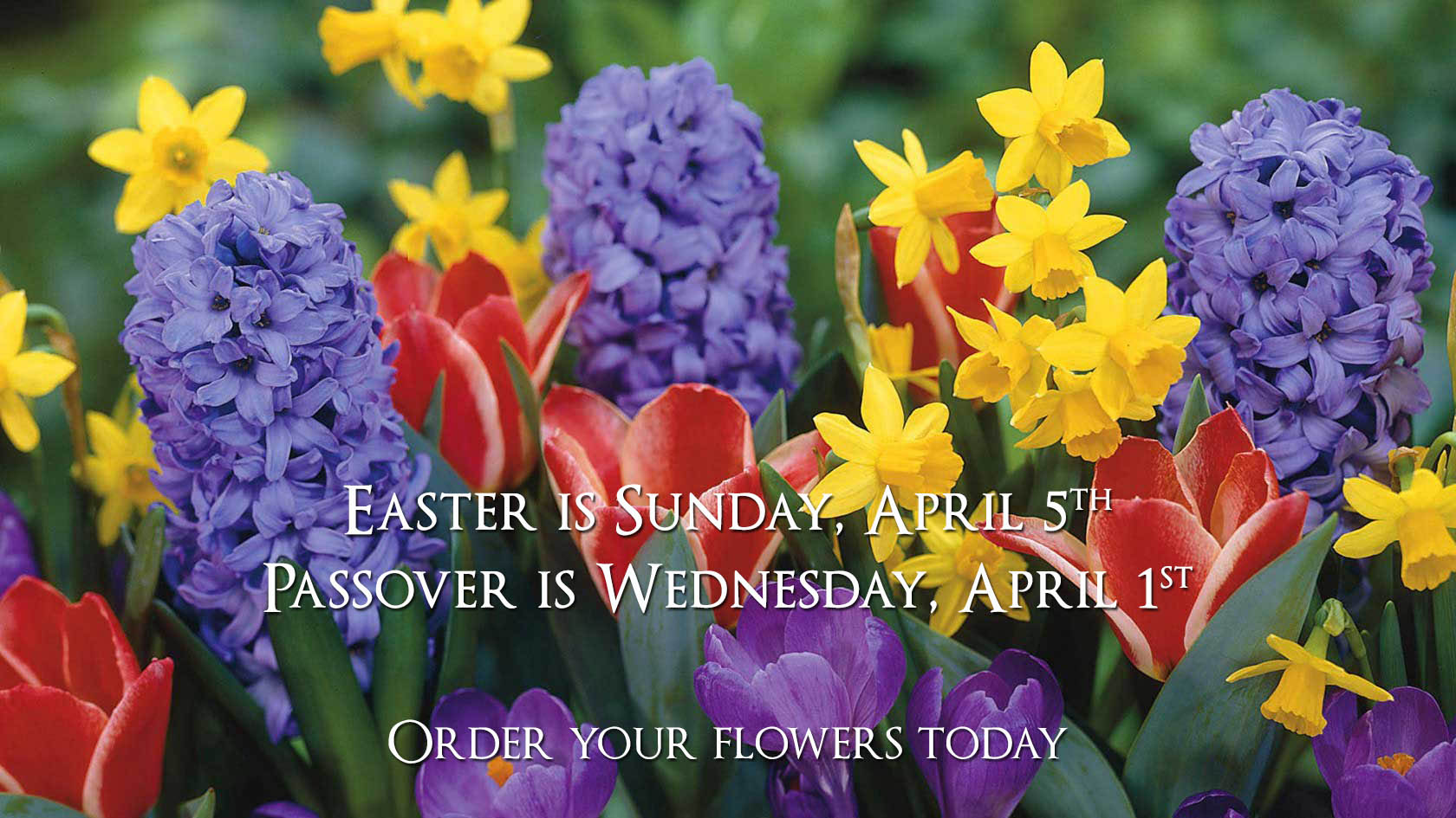Spring Flowers from In Full Bloom Florist in Farmingdale, New York, 516-420-4313