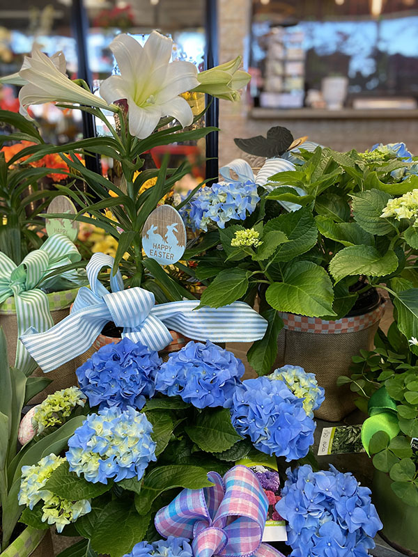 Farmingdale Florists Flowers in Farmingdale NY In Full Bloom Florist