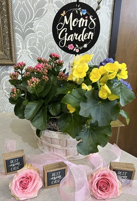 MD Mom's Garden Plant Combo Basket from In Full Bloom in Farmingdale, NY