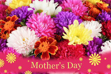 Deal of The Day Bouquet from In Full Bloom in Farmingdale, NY