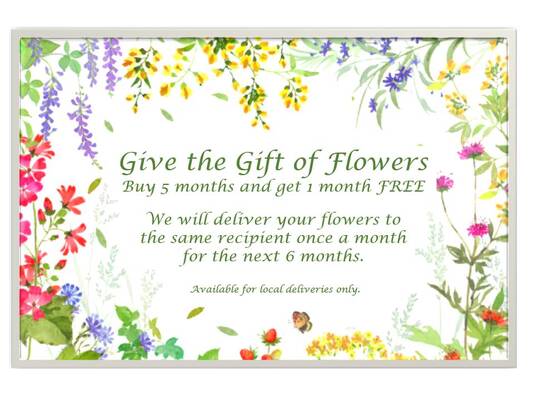 Subscription Plan from In Full Bloom in Farmingdale, NY