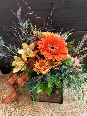 TG Woodland Box from In Full Bloom in Farmingdale, NY