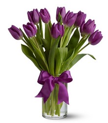 Passionate Purple Tulips from In Full Bloom in Farmingdale, NY