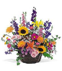 Summertime Sensation Basket from In Full Bloom in Farmingdale, NY